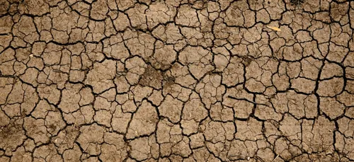 Pays de la Loire : Les agriculteurs déjà confrontés à la sécheresse