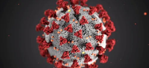 Brest : un "variant de variants" détecté chez 22 malades