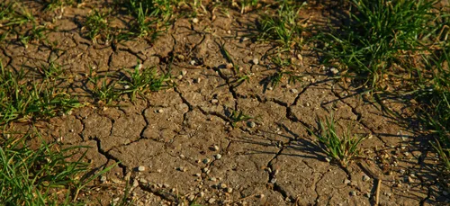 Sécheresse : premières mesures en Anjou