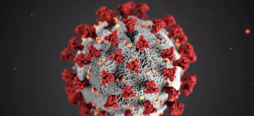 Nouvelle-Aquitaine : six cas au total de variant indien