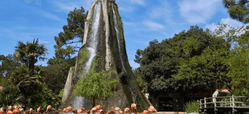 Le zoo de La Palmyre rouvre ses portes le 19 mai