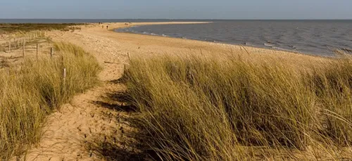 Le Morbihan, la Charente-Maritime et la Vendée parmi les...
