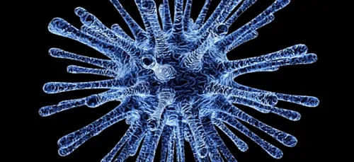 Covid-19 : Légère hausse des cas de variant indien en France