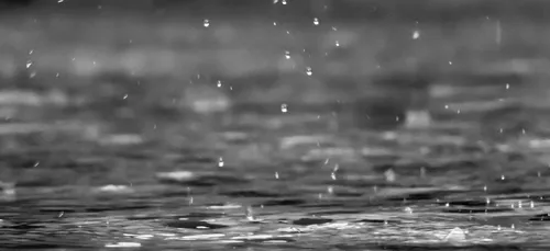 La Gendarmerie des Vosges à la recherche… du soleil