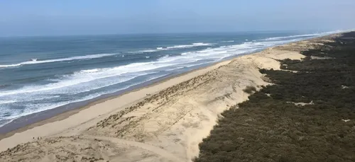 La Tremblade : Un jeune baigneur porté disparu