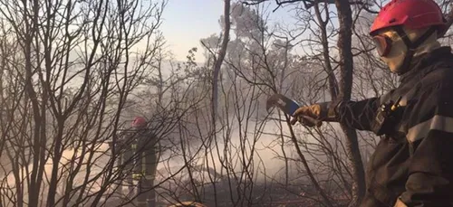 Un nouvel incendie de forêt dans le Saumurois
