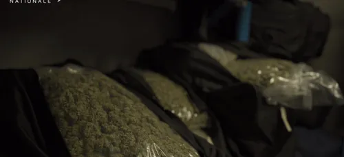 Bordeaux : saisie historique de drogue