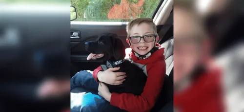 Un petit garçon vend sa collection de cartes Pokémon pour sauver...