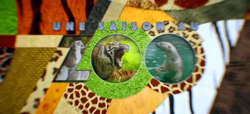 "Une saison au zoo" de retour à La Flèche !