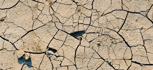 L'humanité à l'aube de retombées climatiques cataclysmiques ?