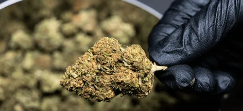 Grenoble : la Cour de cassation casse la condamnation d’un...