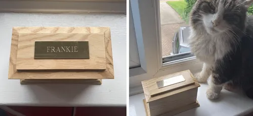 Ils pensent incinérer leur chat et le retrouvent deux semaines après