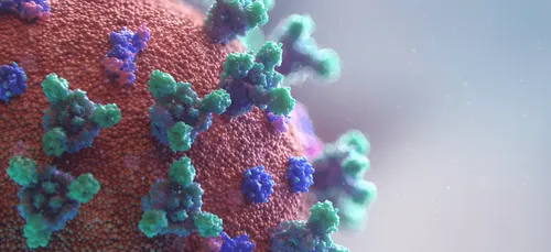 La dernière phase du déconfinement repoussée d'une semaine dans les...