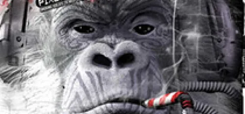 Nouvel album de Shaka Ponk