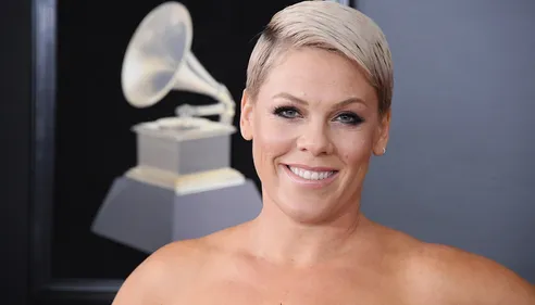 Des dessins animés pour le clip de « Can We Pretend » de Pink