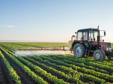 Des agriculteurs ont-ils utilisé des pesticides interdits ? Une...