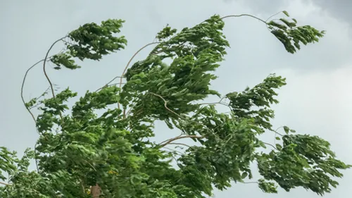 Tempêtes : Météo-France vous propose de les baptiser