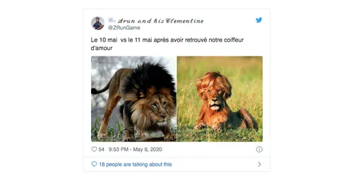 Ce qui nous a fait rire sur la toile cette semaine, volume 8