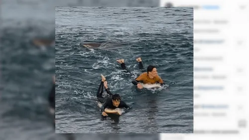Un surfer français repousse un requin à coups de poings en Australie