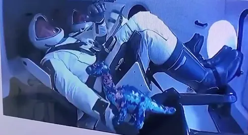 Une peluche de dinosaure envoyée dans l’espace par SpaceX