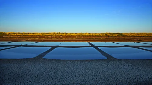 Destination Île de Ré ? Les 5 plus beaux lieux à voir