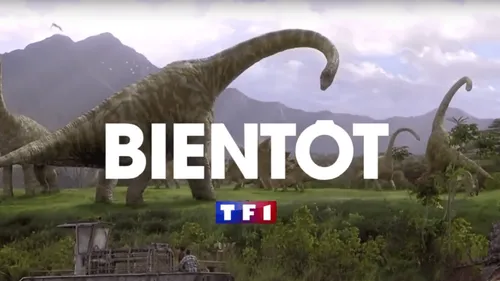 TF1 : après Harry Potter et Le Seigneur des Anneaux, place à...
