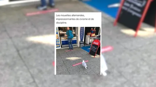 Ce qui nous a fait sourire cette semaine, volume 14