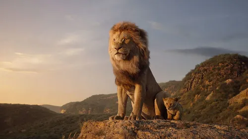 Le Roi Lion : un prequel sur la jeunesse de Mufasa en préparation