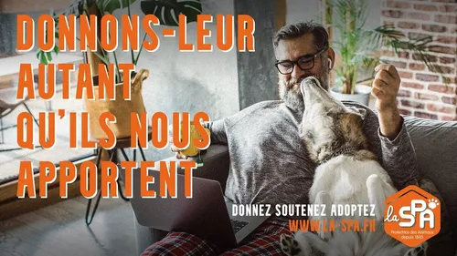 La SPA dit merci aux animaux dans un clip émouvant