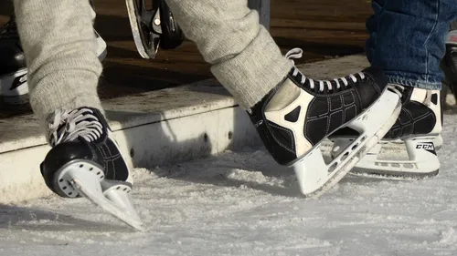 En Pologne, une patinoire se transforme en boutique de fleurs pour...