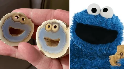 Une pierre "Cookie Monster" affole la toile
