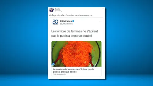 Pubis et carottes râpées : 20 Minutes parodié sur Twitter