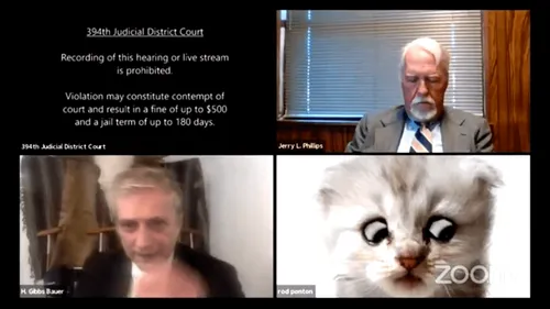 VIDEO. "Je ne suis pas un chat" assure un avocat lors d'une visio...