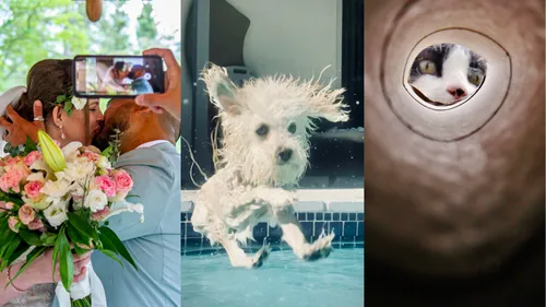 Flickr dévoile les photos les plus moches de 2020 !