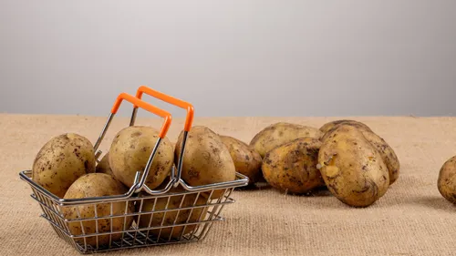 Bretagne : un don de huit tonnes de pommes de terre pour les...