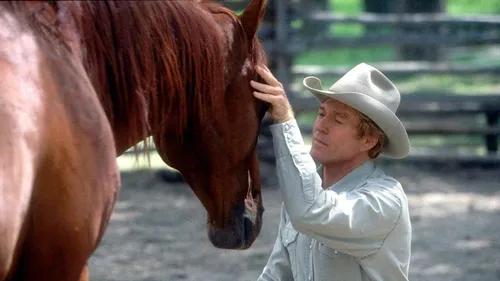 Le cheval comprend mieux quand on lui parle comme à un bébé