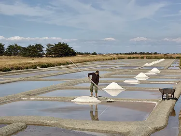 Noirmoutier dans le top 10 des villes les plus recherchées pour les...