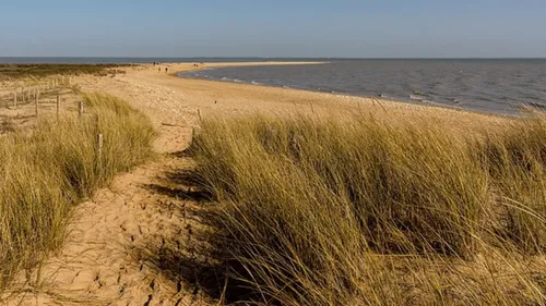 Le Morbihan, la Charente-Maritime et la Vendée parmi les...