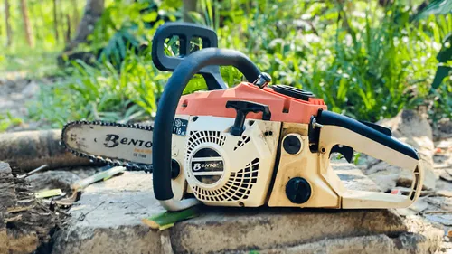 Royaume-Uni : un arbre coupé en deux après une surprenante dispute