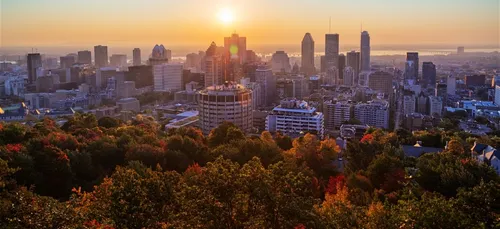 Montréal: il nettoie la villes de ses tags racistes