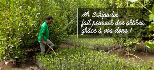 L’O.N.G Life mobilisée en Indonésie pour lutter contre la...