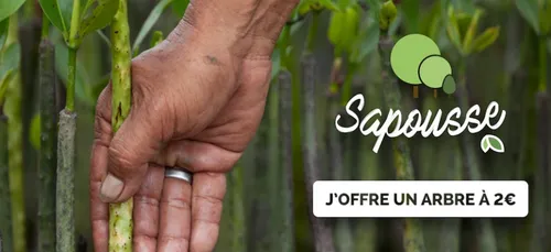 Beur FM soutient l'O.N.G Life dans son opération de reforestation...