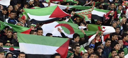 Football: bientôt un algérien à la tête de l'équipe nationale...