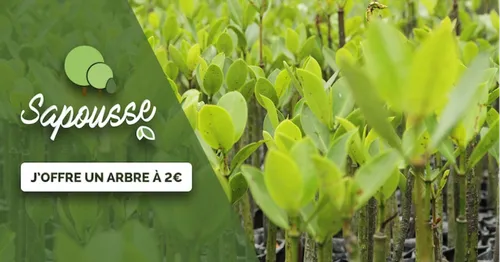 Ramadan 2018: faisons pousser une forêt Beur FM ensemble!