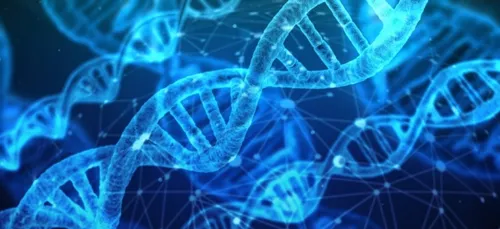 L’algérien Abdennour Abbas rejoint le M.I.T comme chercheur associé !