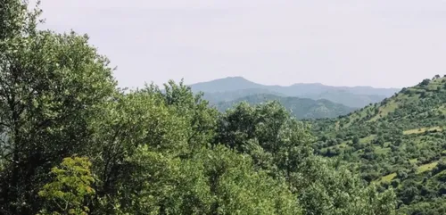 Kabylie, la révolution écologique en marche !