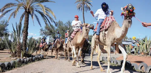 Le gouvernement américain met en garde ses touristes en partance...