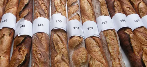 Le boulanger Taïeb Sahal, lauréat du Grand prix de la meilleure...