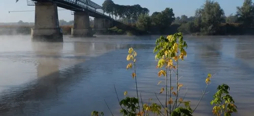 Noyés en Gironde : c'est la série noire
