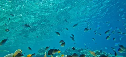 Under : le premier restaurant d’Europe sous l’eau ! (photo)